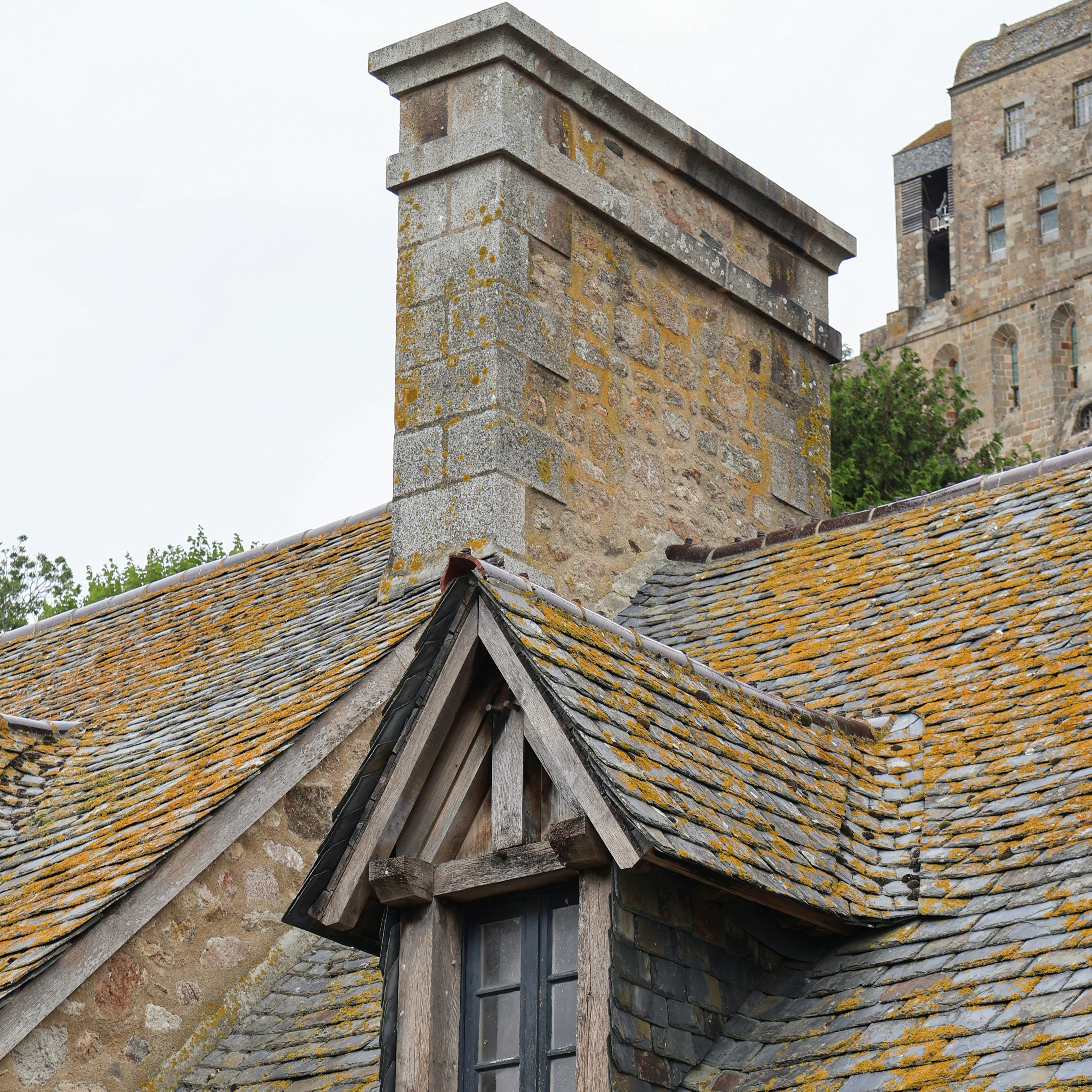 Toiture couverte de mousse et de lichen avant traitement par drone à Saint-Brieuc